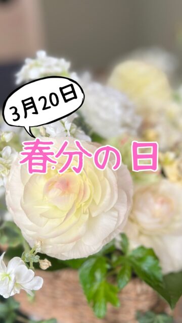 昼夜の時間が等しくなる春分の日🌸は、12星座が巡り始める最初の日であり、宇宙元旦🌏と呼ばれる1年で最も重要な日だそうです✨
年末年始で手をつけられなかった部分を宇宙元旦🪐のタイミングに合わせて綺麗に整えるのもいいですね🙂
いつものお掃除🧹に加えて、普段手をつけずにいる玄関たたきのお掃除や、靴👞👟を片づけたり、使わない傘☂️をしまうのもおすすめです✨
今日はワタシ自身、常々気になっていた玄関をしっかりお掃除しました🦆❤️
スッキリ気分爽快☺️
きれいにしたいけど、時間がないっ💦やりきれない🥺お困りの時には、川崎市中原区のダッククリーンサービスまでDM✉️📲などなどお気軽にご相談ください❤️
#川崎市
#中原区
#幸区
#高津区
#宮前区
#多摩区
#麻生区
#川崎区
#横浜市
#鶴見区
#港北区
#都筑区
#青葉区
#神奈川区
#中区
#西区
#東京都
#大田区
#目黒区
#世田谷区
#品川区
#渋谷区
#港区
#ハウスクリーニング
#お掃除記録
#春分の日
#宇宙元旦
#開運
#気持ち良い
#さっぱり