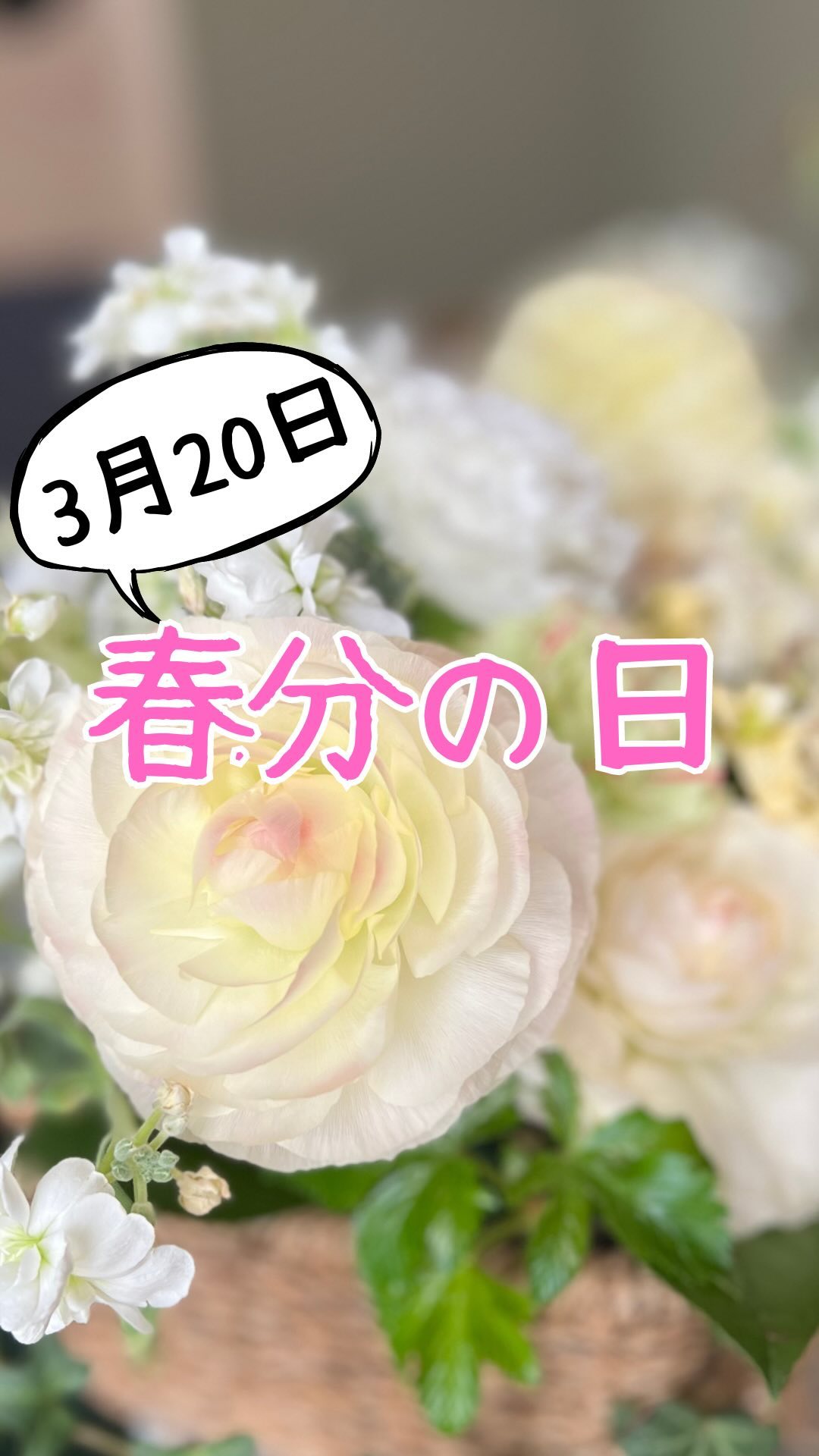 昼夜の時間が等しくなる春分の日🌸は、12星座が巡り始める最初の日であり、宇宙元旦🌏と呼ばれる1年で最も重要な日だそうです✨

年末年始で手をつけられなかった部分を宇宙元旦🪐のタイミングに合わせて綺麗に整えるのもいいですね🙂

いつものお掃除🧹に加えて、普段手をつけずにいる玄関たたきのお掃除や、靴👞👟を片づけたり、使わない傘☂️をしまうのもおすすめです✨
今日はワタシ自身、常々気になっていた玄関をしっかりお掃除しました🦆❤️
スッキリ気分爽快☺️

きれいにしたいけど、時間がないっ💦やりきれない🥺お困りの時には、川崎市中原区のダッククリーンサービスまでDM✉️📲などなどお気軽にご相談ください❤️

#川崎市
#中原区
#幸区
#高津区
#宮前区
#多摩区
#麻生区
#川崎区
#横浜市
#鶴見区
#港北区
#都筑区
#青葉区
#神奈川区
#中区
#西区
#東京都
#大田区
#目黒区
#世田谷区
#品川区
#渋谷区
#港区
#ハウスクリーニング
#お掃除記録
#春分の日
#宇宙元旦
#開運
#気持ち良い
#さっぱり