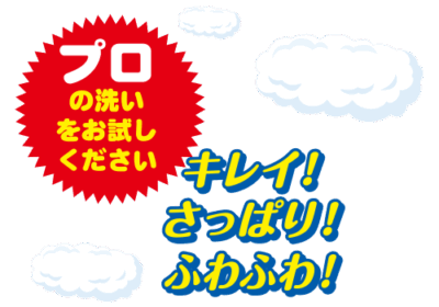 プロの洗いをお試しください。キレイ！さっぱり！ふわふわ！